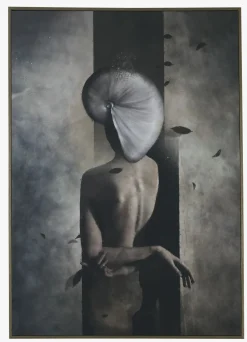 Bilde brun - 50x70 cm