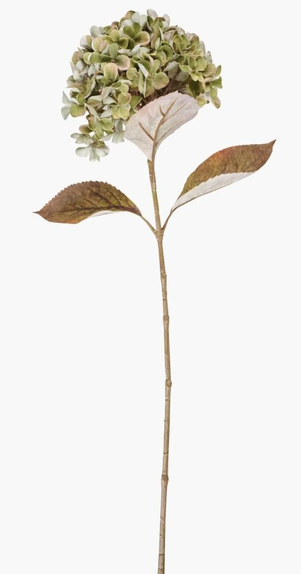 Blomst grønn - 28x17x65 cm