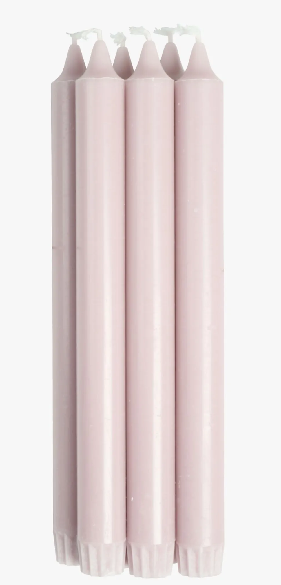 Kronelys engelsk rose - 24 cm