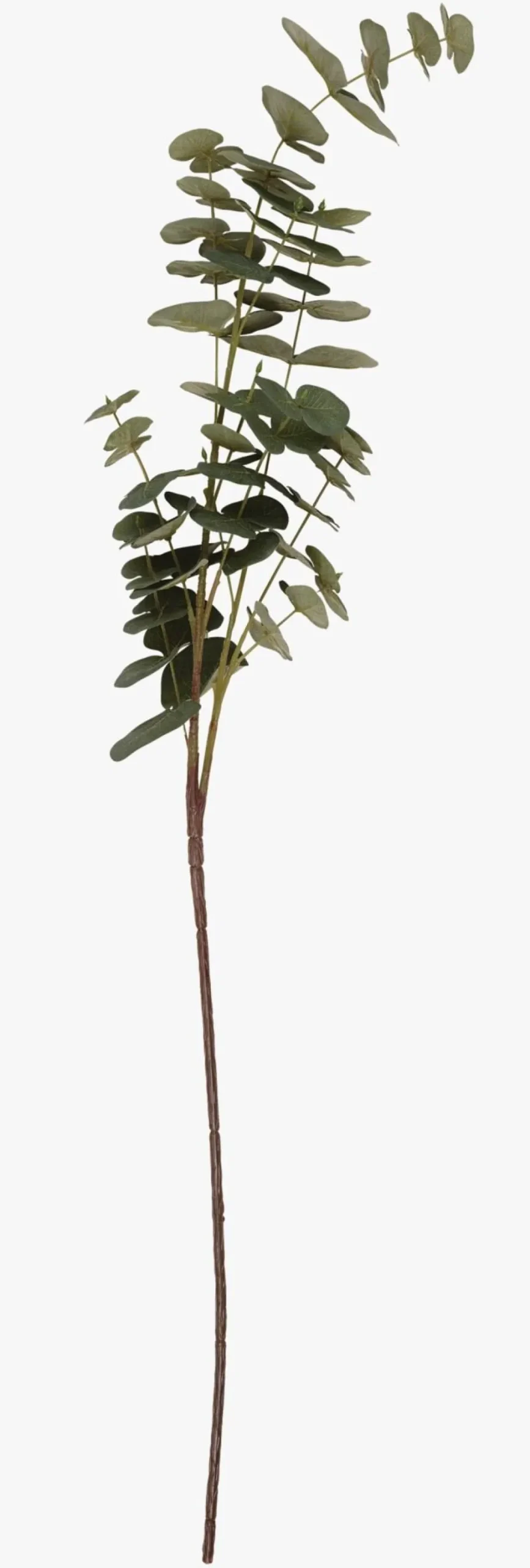Kvist grønn - 26x18x88 cm