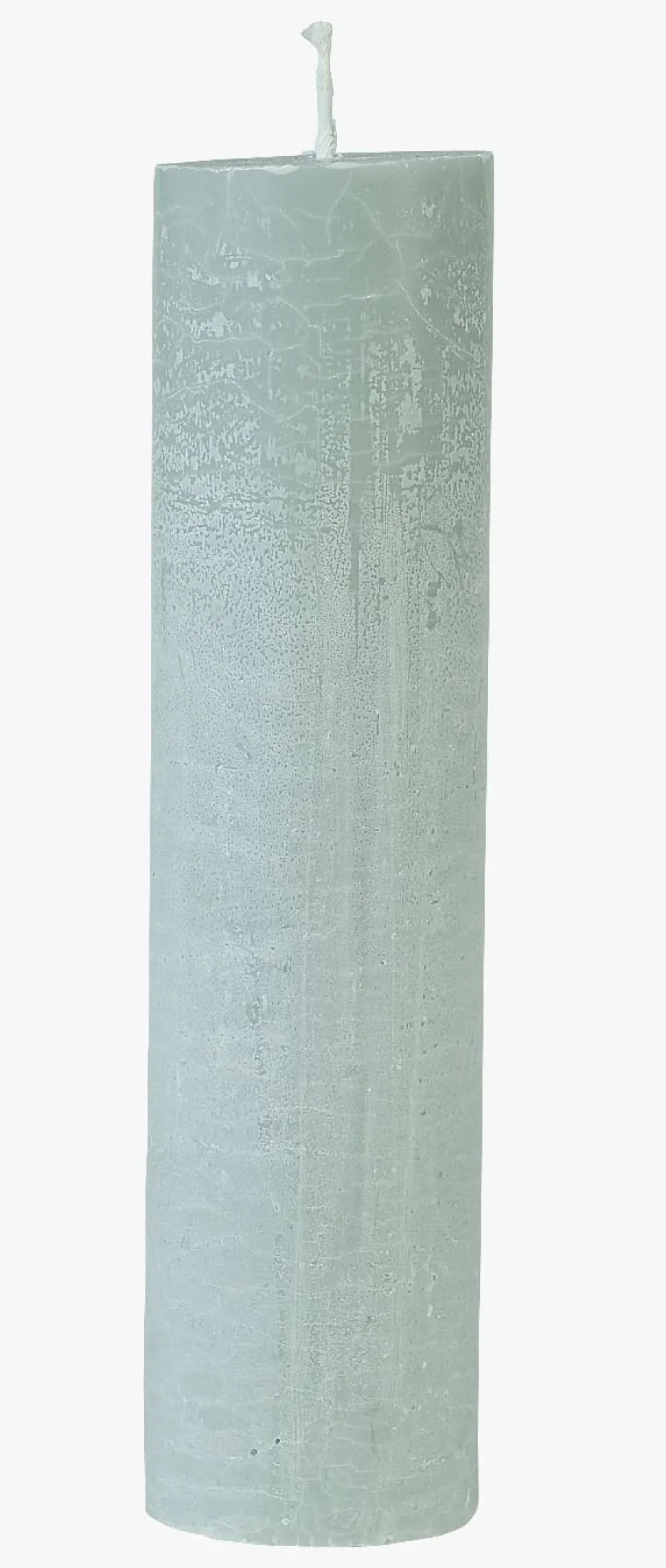 Stakelys sjøgress - 5x25 cm