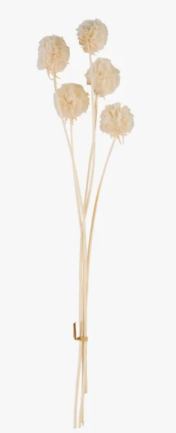 Tørkede blomster hvit - 30 cm